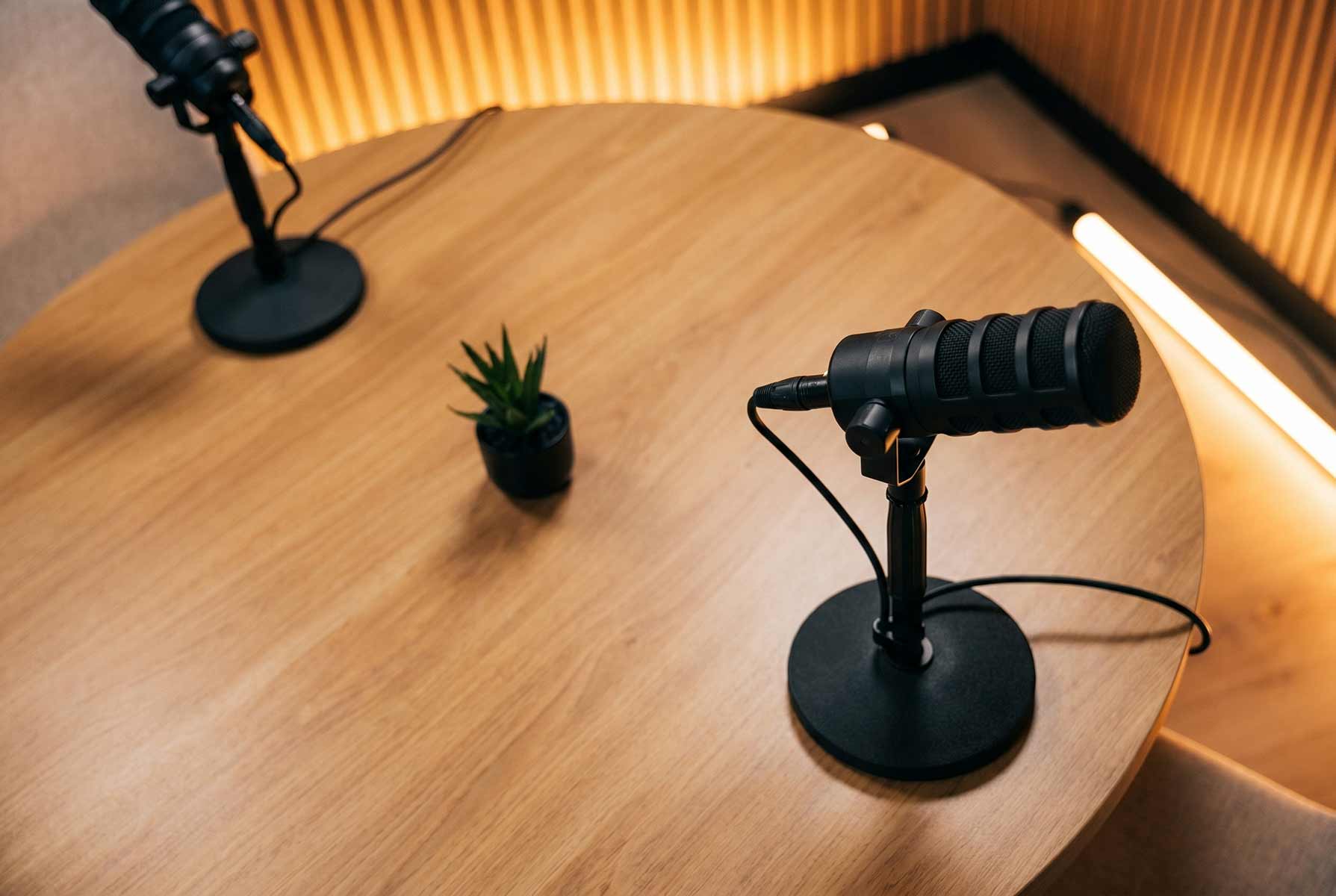 Overhead view of the Content Studio table with two microphones and a small succulent