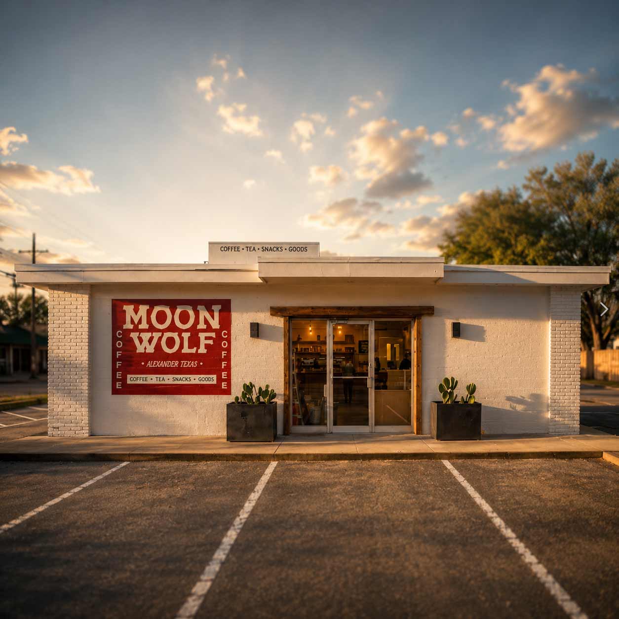 Moonwolf coffee shop in Richardson, TX